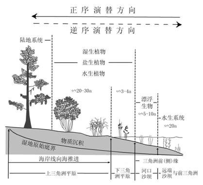 完成图3